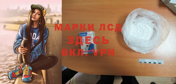 сатива Бородино