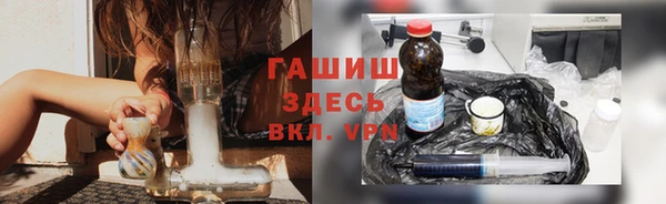 сатива Бородино
