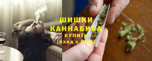 сатива Бородино