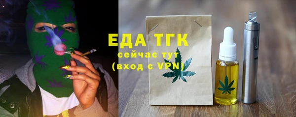 сатива Бородино