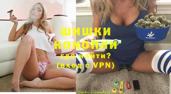 сатива Бородино