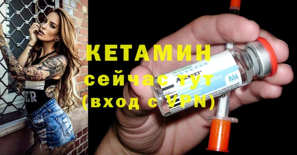 сатива Бородино