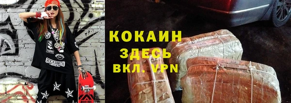сатива Бородино