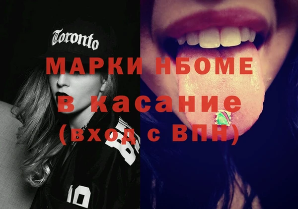 сатива Бородино